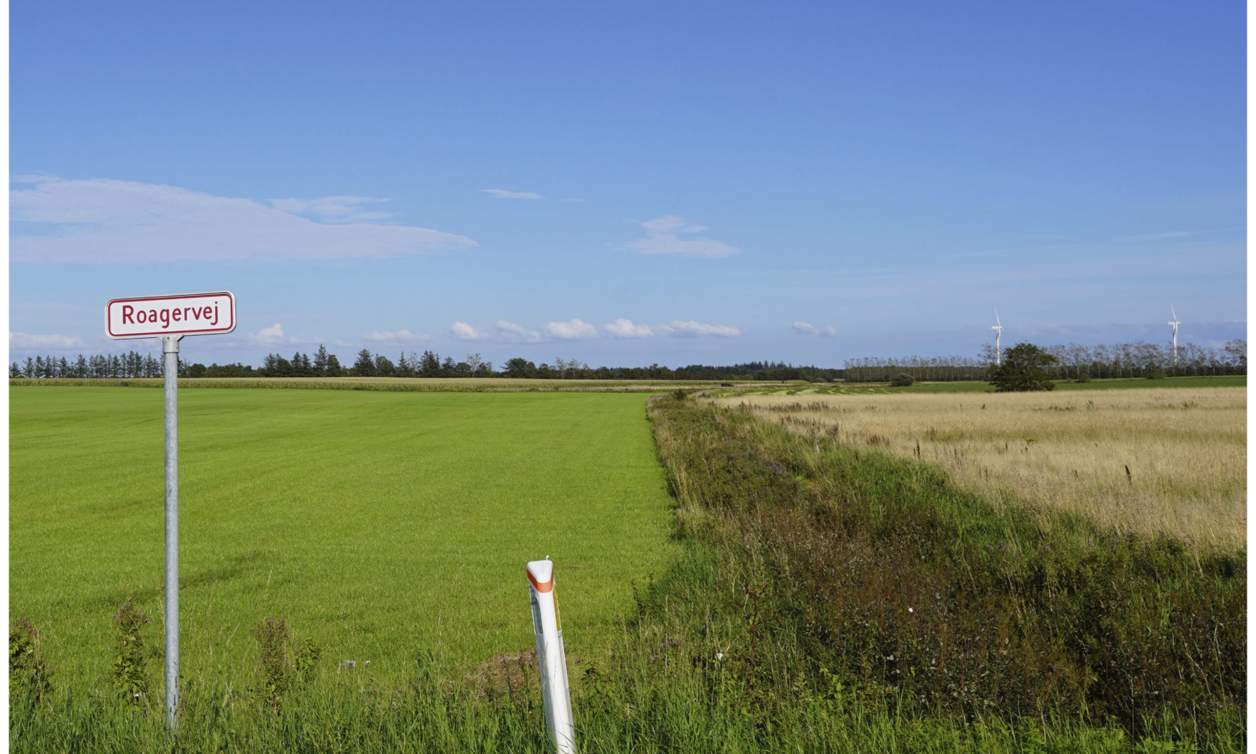 Nye vindmøller ved Spandet Mark - visualiseringer_jpeg_04-12-2024_02_eksist