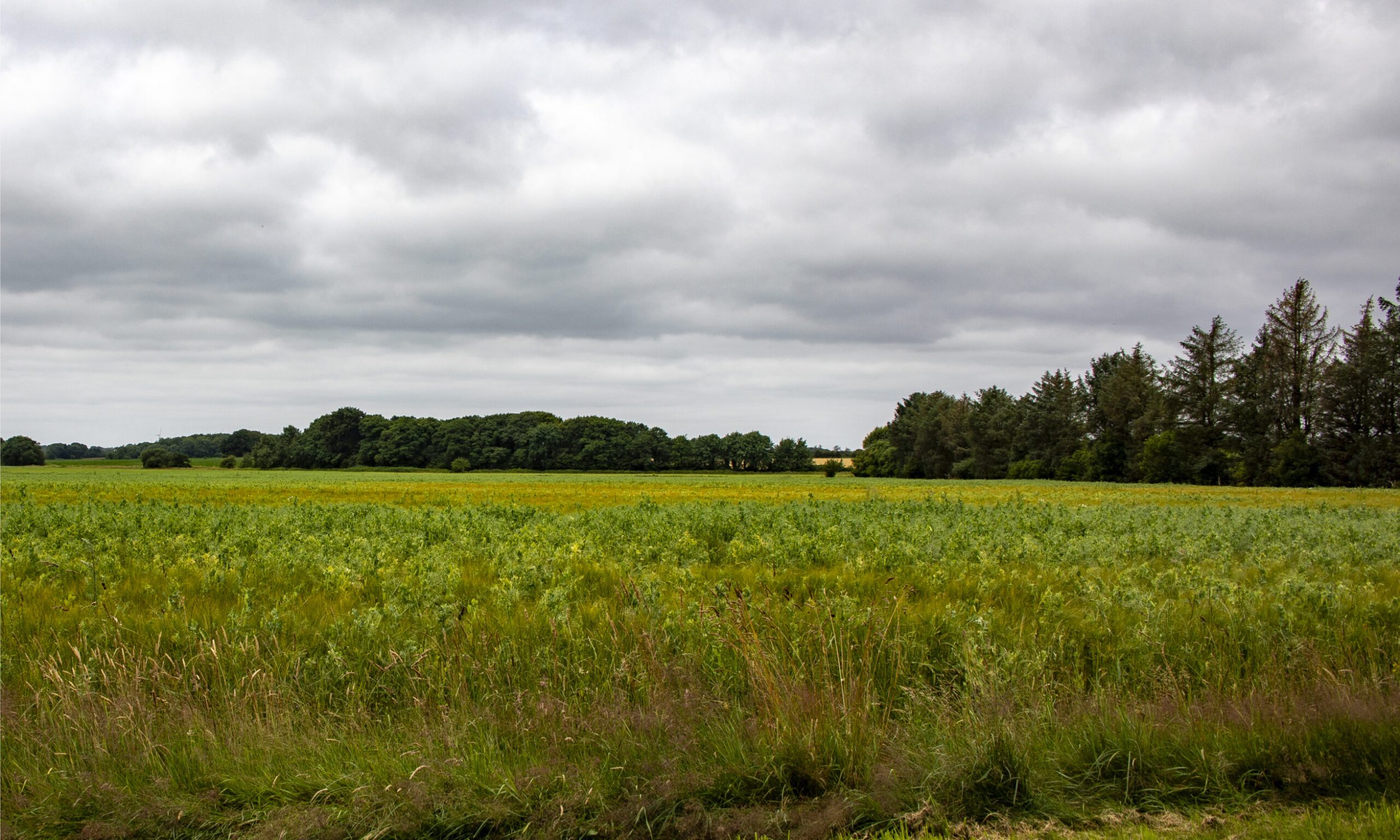 Vindmøller og solceller ved Spandet Mark - visualiseringer-jpeg_13-08-2025_05e