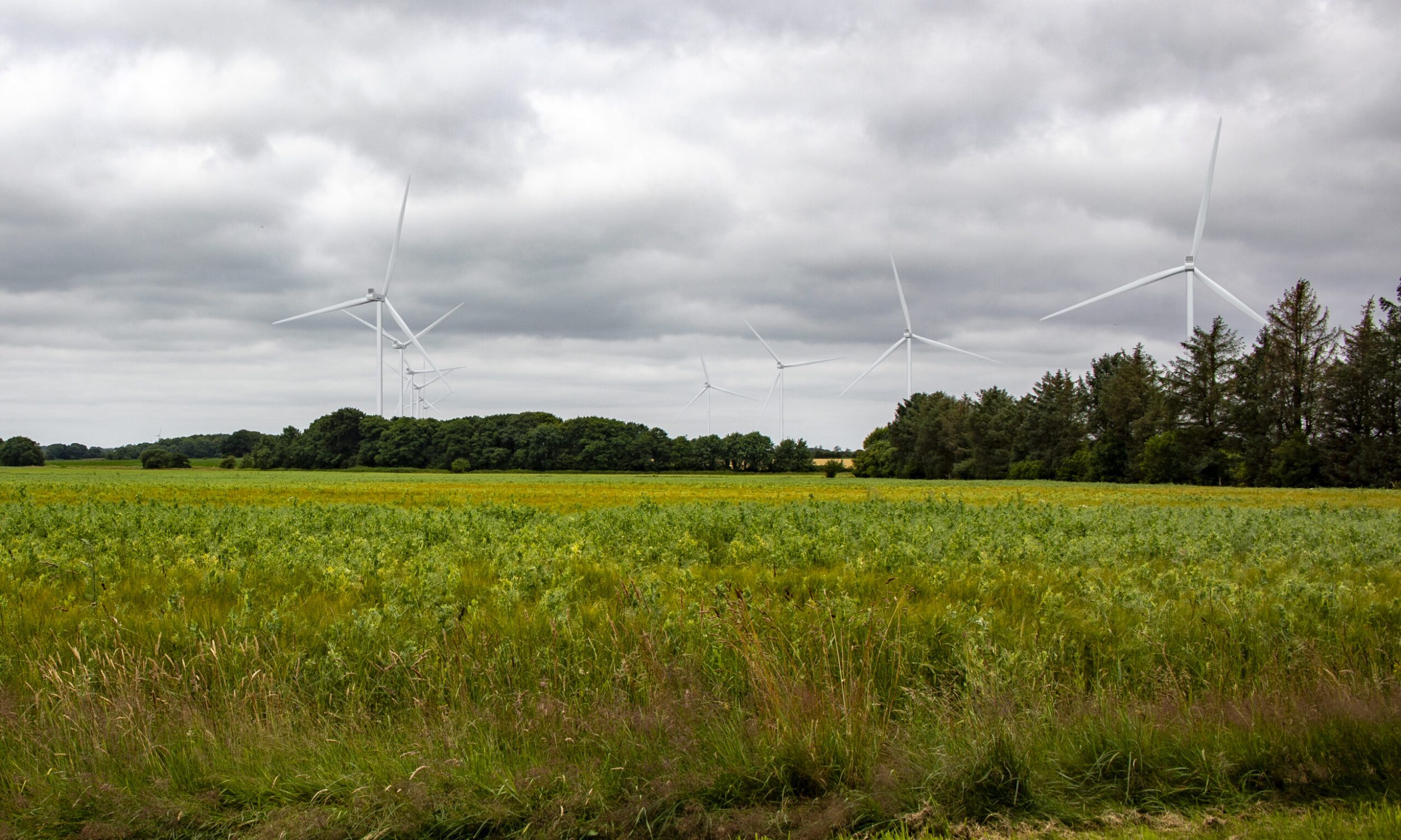 Vindmøller og solceller ved Spandet Mark - visualiseringer-jpeg_13-08-2025_05v