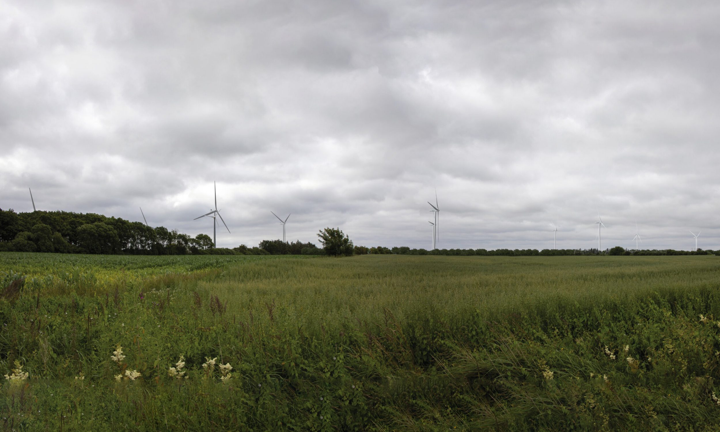 Vindmøller og solceller ved Spandet Mark - visualiseringer-jpeg_v2_13-08-2025_01v