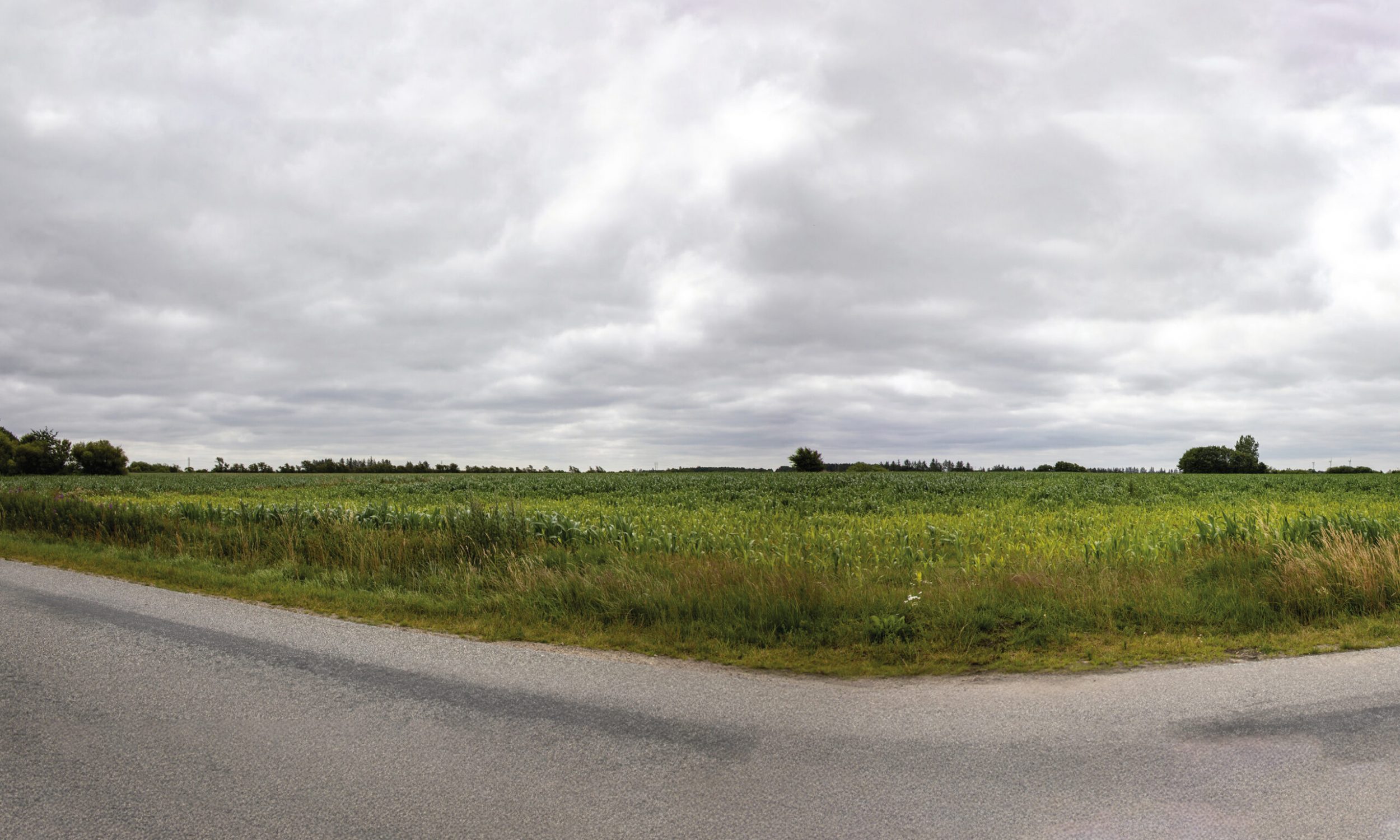 Vindmøller og solceller ved Spandet Mark - visualiseringer-jpeg_v2_13-08-2025_02e